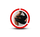 A black thigh support brace with the 'LIFINITY' logo, being worn by a person whose legs and arms are visible inside a red circular graphic overlay on a white background.